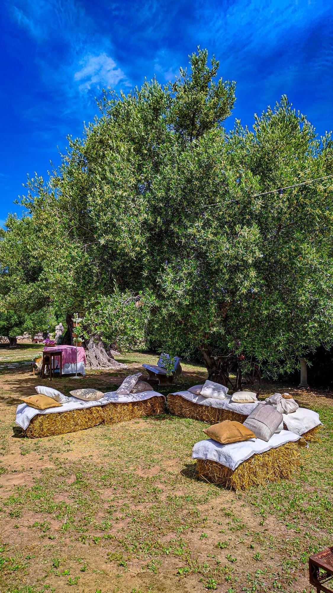 Villa Agriturismo San Michele In Triglie à Crispiano Extérieur photo